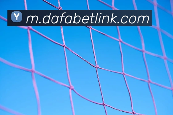 大发彩票平台生态图